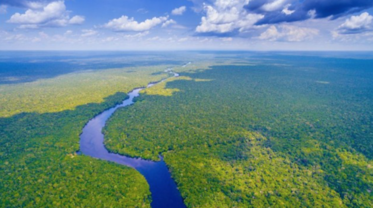 Captura-de-Tela-2023-08-23-as-10.31.17