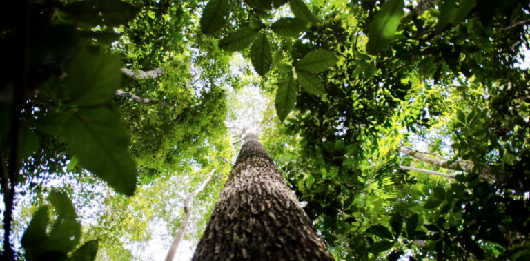 Captura-de-Tela-2023-09-06-as-12.21.18