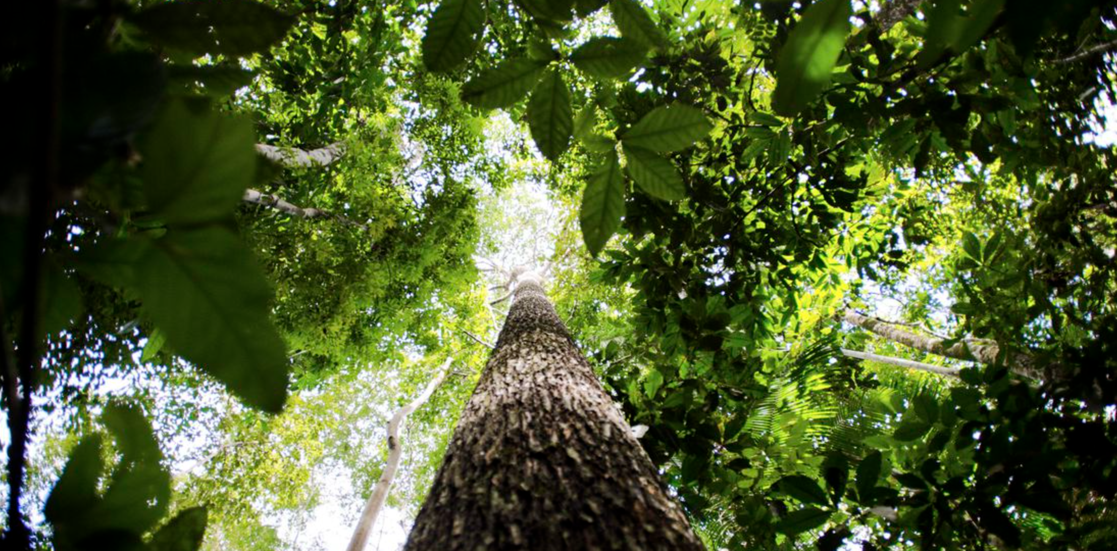 Captura-de-Tela-2023-09-06-as-12.21.18