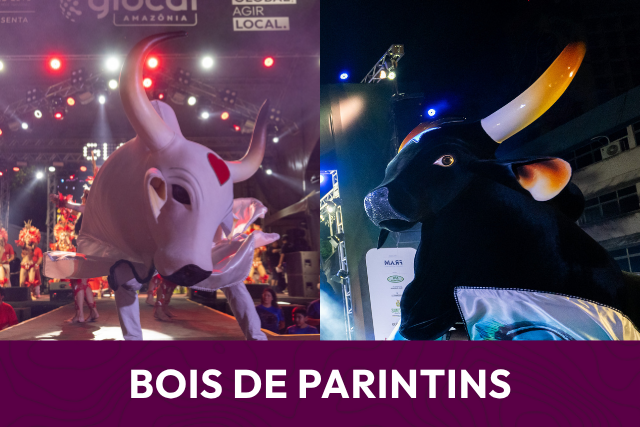 BOIS DE PARINTINS