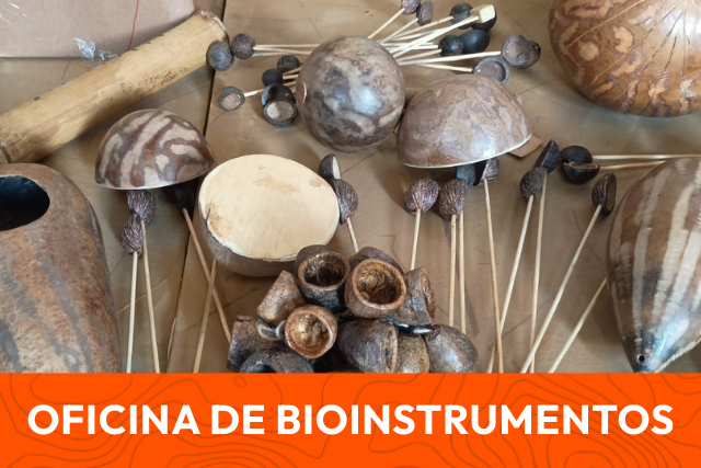 bioinstrumentos